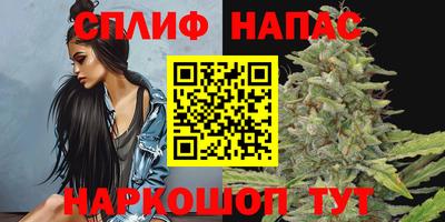 дмт Нальчик