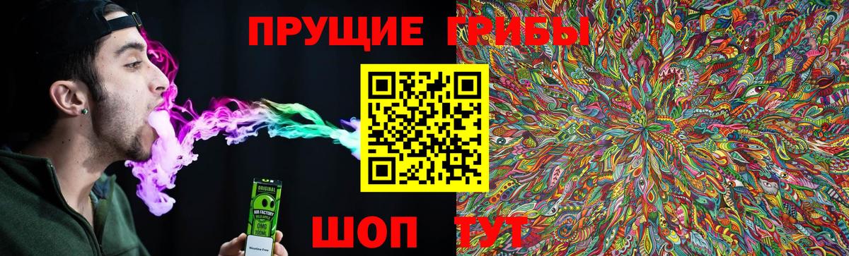Псилоцибиновые грибы Magic Shrooms  Вход с VPN  Галлюциногенные грибы ЛСД  Черкесск 